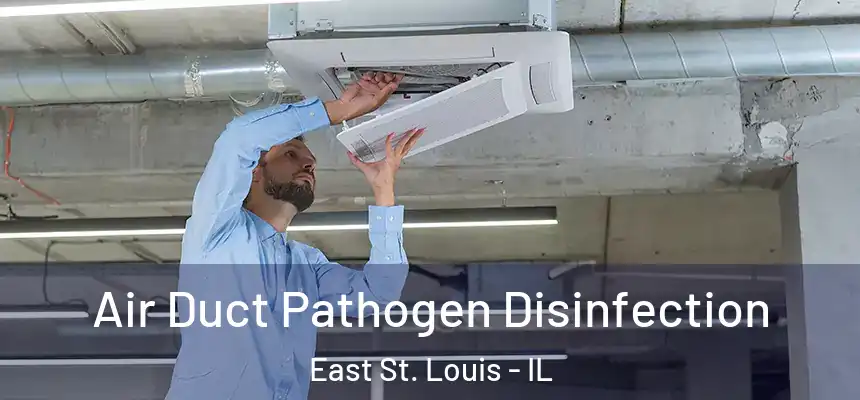  Air Duct Pathogen Disinfection East St. Louis - IL