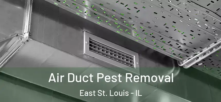 Air Duct Pest Removal East St. Louis - IL