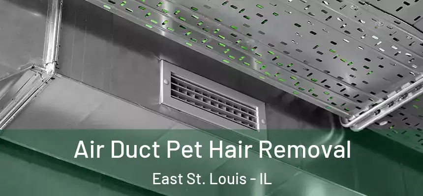 Air Duct Pet Hair Removal East St. Louis - IL