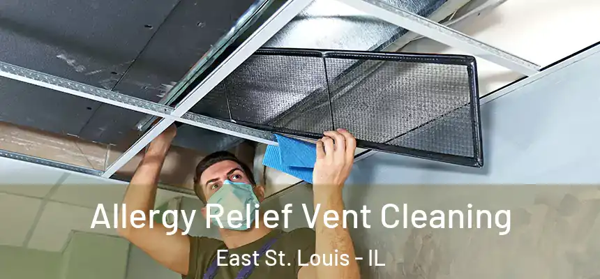  Allergy Relief Vent Cleaning East St. Louis - IL