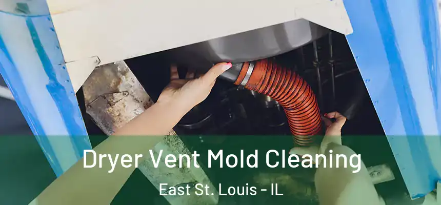 Dryer Vent Mold Cleaning East St. Louis - IL