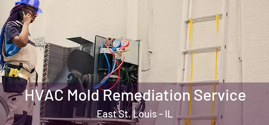  HVAC Mold Remediation Service East St. Louis - IL