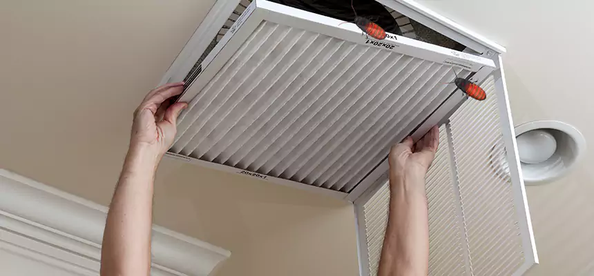 Preventive Cockroach-Proofing for Ducts in East St. Louis