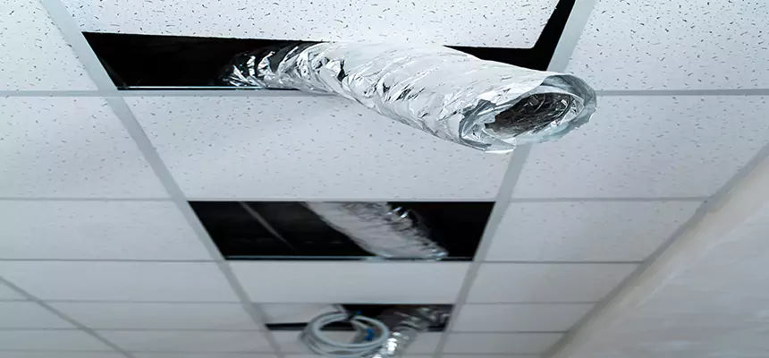 Affordable HVAC Sanitizing After Pest Removal in East St. Louis