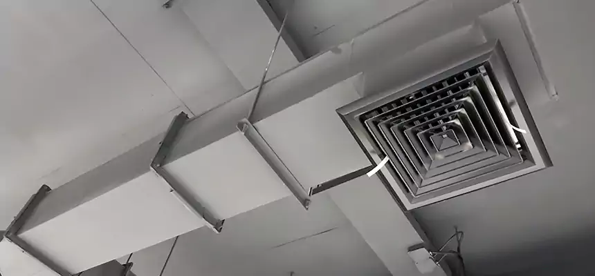 Our Rodent Droppings In Vents Services in East St. Louis, IL