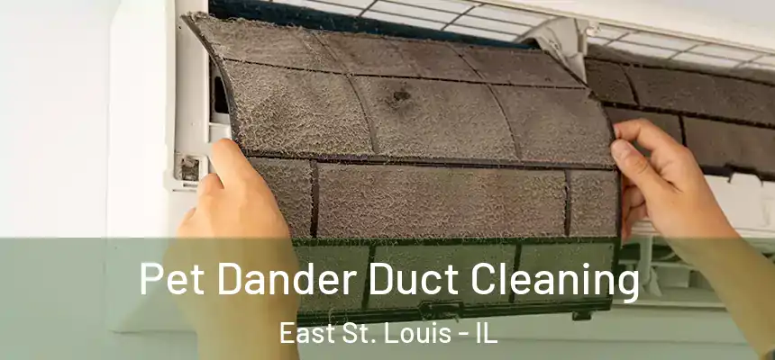  Pet Dander Duct Cleaning East St. Louis - IL