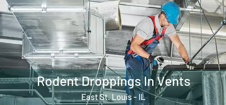 Rodent Droppings In Vents East St. Louis - IL