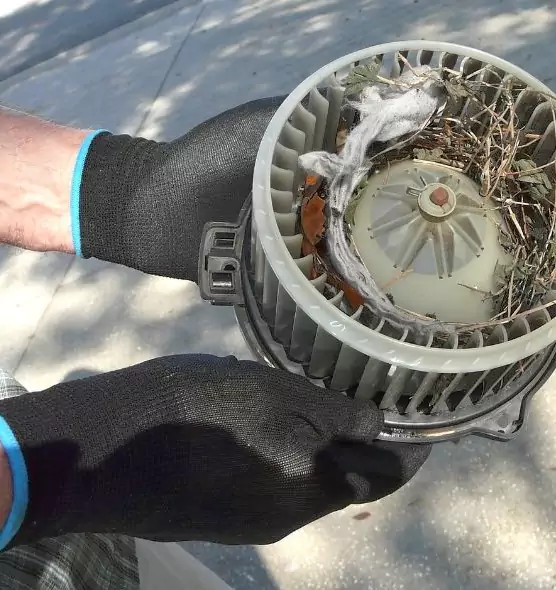 About Air Duct Mice Removal in East St. Louis, IL