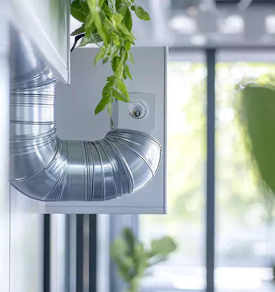 Professional Eco-Friendly Duct Cleaning Services in East St. Louis, IL