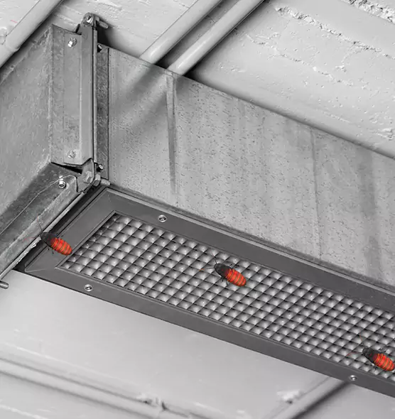 Affordable Insect Removal from Air Ducts in East St. Louis, IL