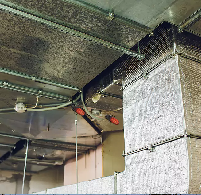 Why Homeowners & Businesses Trust Us in East St. Louis, IL?