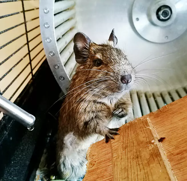 Why Homeowners & Businesses Trust Us East St. Louis, IL?