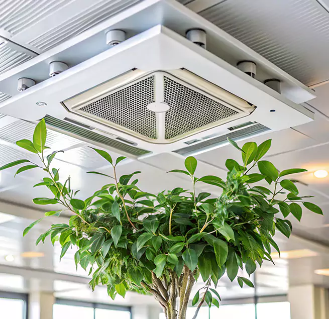 Why Homeowners & Businesses Trust Us in East St. Louis, IL