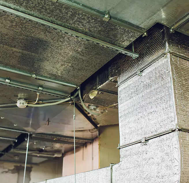 Why Homeowners & Businesses Trust Us in East St. Louis, IL?